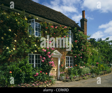 Un cottage con rose intorno alla porta. Foto Stock