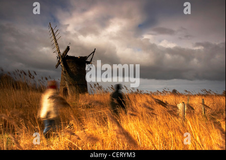 I resti del Mulino Brograve su Norfolk Broads. Foto Stock