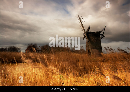 I resti del Mulino Brograve su Norfolk Broads. Foto Stock