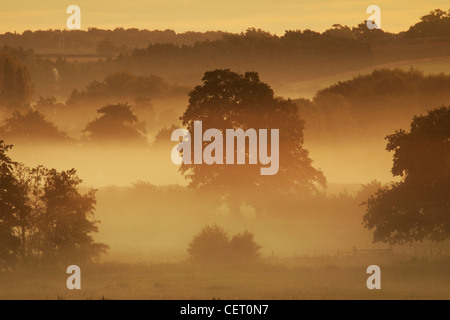 La nebbia sulla campagna di Norfolk nella periferia di Norwich. Foto Stock