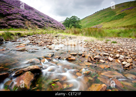 Fairbrook nei boschi Valley, parte del picco elevato Estate appena fuori la A57 Snake Pass Road nel Peak District National P Foto Stock