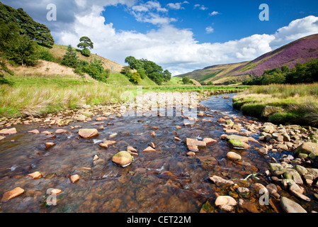 Un fiume che scorre attraverso la valle di boschi appena fuori la A57 Snake Pass Road nel Parco Nazionale di Peak District. Foto Stock