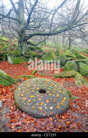 Una macina circondato da caduta foglie autunnali in Padley Gorge, uno dei migliori esempi rimasti di legno di quercia e bosco di betulle Foto Stock