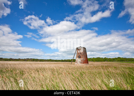 I derelitti resti di Westwood paludi Mill, Il Grade ii Listed tower mill sulla costa di Suffolk. Il mulino è uno di soltanto 2 rema Foto Stock