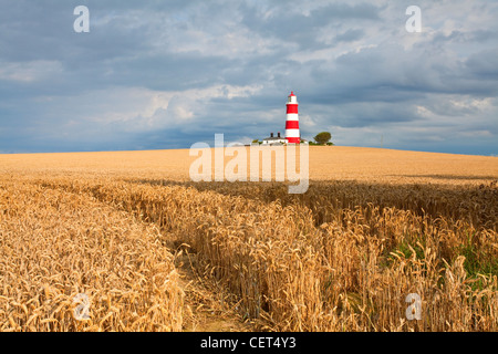 Vista su un campo di grano verso Happisburgh Lighthouse, il più antico faro di lavoro in East Anglia. Foto Stock