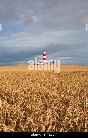 Vista su un campo di grano verso Happisburgh Lighthouse, il più antico faro di lavoro in East Anglia. Foto Stock