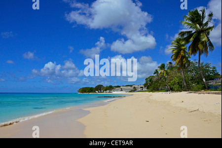 Brandon deserta's Beach in Barbados nei Caraibi con palme e mare calmo Foto Stock
