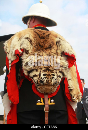 Membro della Royal Band con Tiger vestito a Goodwood. Foto Stock