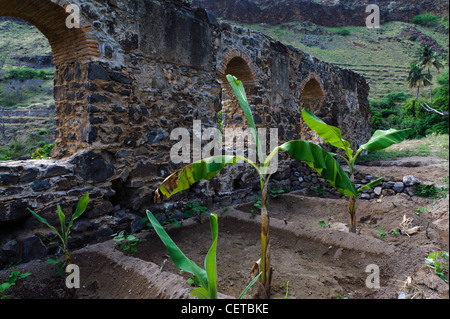 Convento di Sao Francisco in Cidade Velha, Santiago, Isole di Capo Verde, Africa, Patrimonio Mondiale dell Unesco Foto Stock