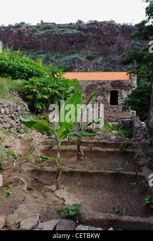 Convento di Sao Francisco in Cidade Velha, Santiago, Isole di Capo Verde, Africa, Patrimonio Mondiale dell Unesco Foto Stock