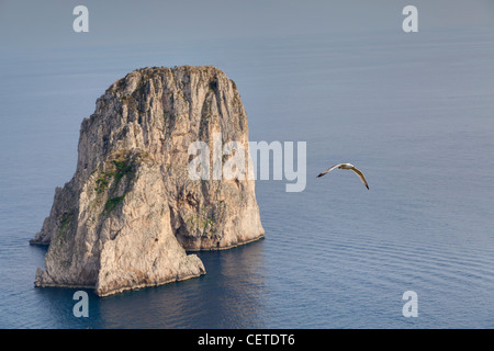 Faraglioni formazioni rocciose isola di Capri ITALIA Foto Stock