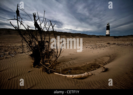 Driftwood in primo piano con una vista a disprezzare Point Lighthouse. Foto Stock