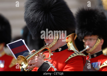 Cerimonia del Cambio della Guardia a Buckingham Palace. Foto Stock