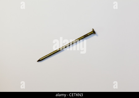 Un chiodo Foto Stock