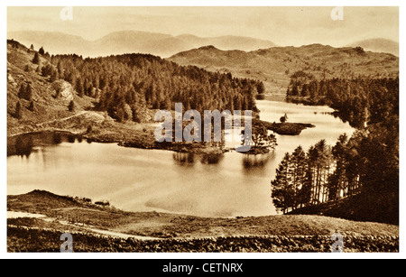 Tarn Hows e Helvellyn Foto Stock