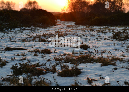 Soft Sunset over snowy Norfolk Foto Stock