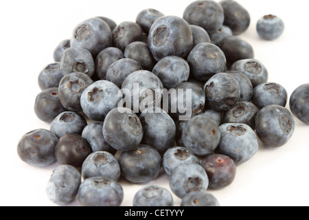 I mirtilli, Vaccinium corymbosum, superfruits su uno sfondo bianco. Foto Stock