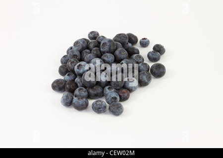 I mirtilli, Vaccinium corymbosum, superfruits su uno sfondo bianco. Foto Stock