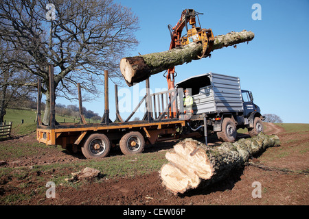 L'agricoltore nel Galles del Sud, il caricamento di un pianale con alberi che erano stati abbattuti in una tempesta utilizzando una meccanica a molletta. Foto Stock