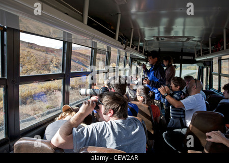 I visitatori a guardare la fauna selvatica da un parco autobus. Parco Nazionale di Denali. L'Alaska. Stati Uniti d'America Foto Stock