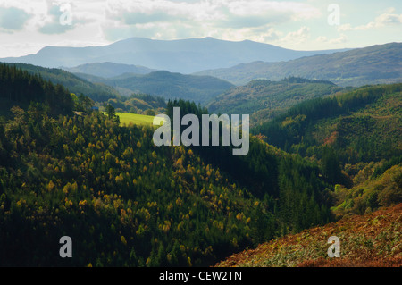 Vista su Coed y Brenin foresta verso Cadair Idris Snowdonia National Park, il Galles Foto Stock