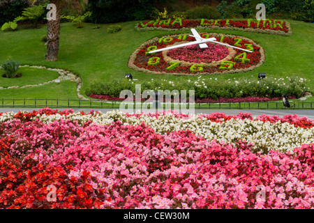 Viña del Mar, Cile. Sud America. Reloj De Flores (Orologio di fiori). Foto Stock