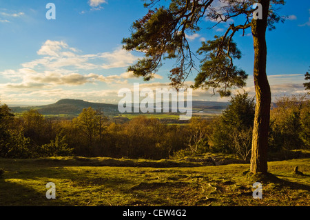 Vista dal fata passi per Arnside Knott e il Kent Estuary in Arnside-Silverdale Area di straordinaria bellezza naturale Cumbria Foto Stock