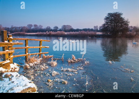 Un gelido Cotswold inverno mattina sul Fiume Tamigi a Lechlade, Gloucestershire, England, Regno Unito Foto Stock