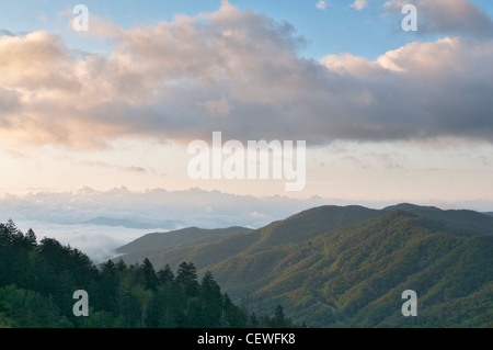 North Carolina, Great Smoky Mountains National Park, la mattina presto vista dal divario ritrovata Road. Foto Stock