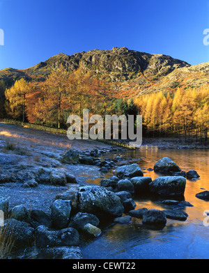 Il coperto di brina massi a Riva del Blea Tarn. Foto Stock