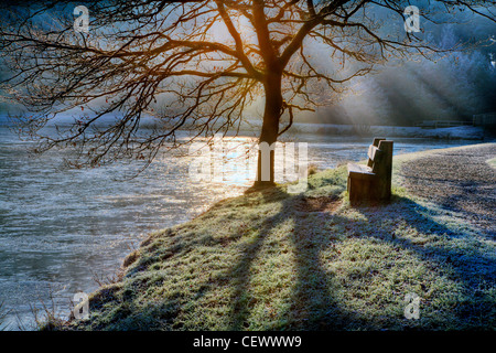 Un albero stagliano contro il Rising Sun su un gelido mattino di Mallard's Pike vicino Parkend nella Foresta di Dean. I laghi a Foto Stock