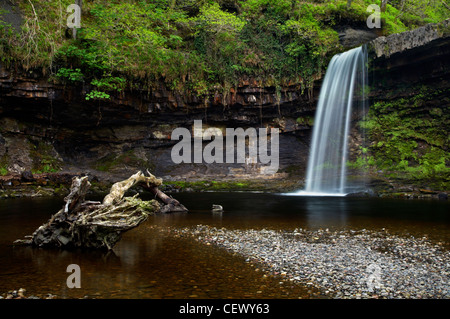 La lussureggiante vegetazione circonda il Sgwd yr Eira cascata sul fiume Hepste. Foto Stock