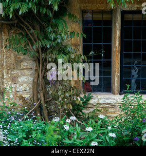 Le piante che crescono e intorno a una finestra cottage in Castle Combe. Foto Stock