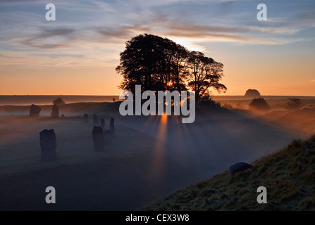 Sunrise oltre ad Avebury Stone Circle, uno dei più grandi d'Europa pietra preistorici cerchi, in una nebbiosa giornata d'autunno. Foto Stock