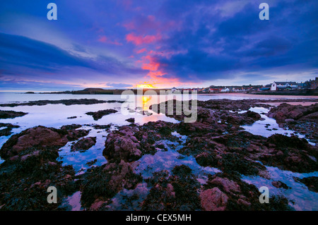 Eyemouth all'alba, la costa orientale della Scozia Foto Stock