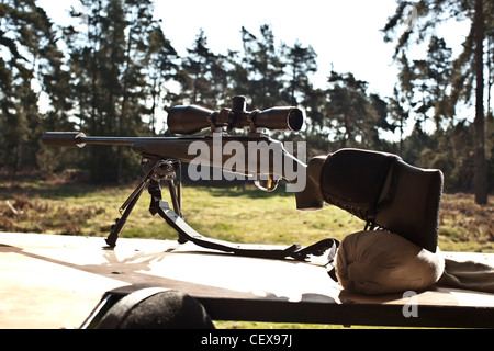 Deer hunting Rifle, pistola a Thetford Forest, Regno Unito Foto Stock
