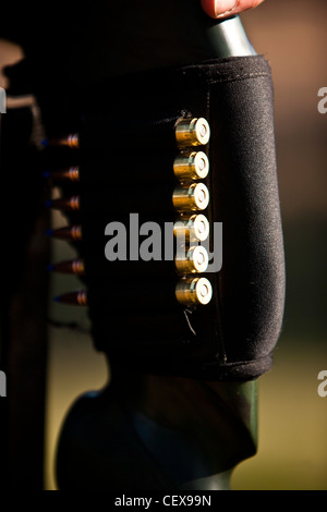 I proiettili per cervi la caccia a Thetford Forest, Regno Unito, Gran Bretagna Foto Stock