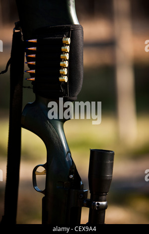 Elenchi puntati sul fucile a caccia di cervi a Thetford Forest, Regno Unito, Gran Bretagna Foto Stock