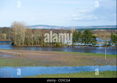 Le inondazioni del fiume Spey interrompe e circonda Queenshaugh vicino a Garmouth, Scozia in aprile 2010 a causa di neve pesante fuso. Foto Stock