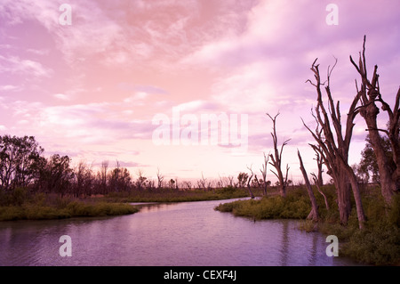 Alba sul fiume Murray Sud Australia Foto Stock