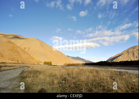 Cina occidentale, alberi d'autunno xinduqiao Foto Stock