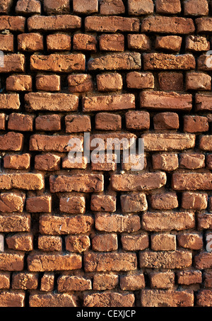 Indiano antico muro di mattoni Foto Stock