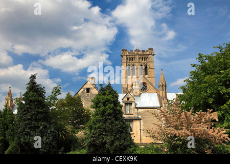 Estate vista della Cattedrale cattolica romana di San Giovanni Battista, città di Norwich, Norfolk, Inghilterra, Regno Unito Foto Stock