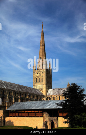 Vista estiva di Norwich Cathedral e Norwich City, Norfolk, Inghilterra, Regno Unito Foto Stock