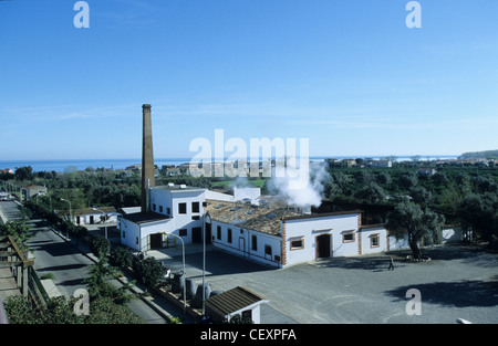 Italia Calabria , Rossano , Amarelli fabbrica di liquirizia di produrre dolciumi da radici di liquirizia dal 1871 Foto Stock