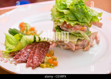 Insalata di diversi tipi di salsicce, cetrioli, peperoni, lattuga con panna acida salsa Foto Stock