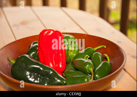 Ciotola di legno riempita con diversi tipi di peperoncino piccante Foto Stock