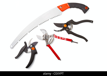 Giardino secateurs e seghetto isolato su uno sfondo bianco Foto Stock