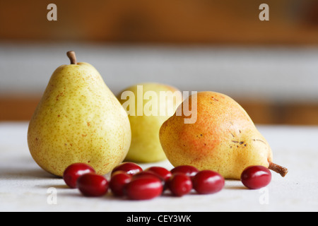 Mature Giallo autunno le pere e il Corniolo rosso-ciliegia Foto Stock