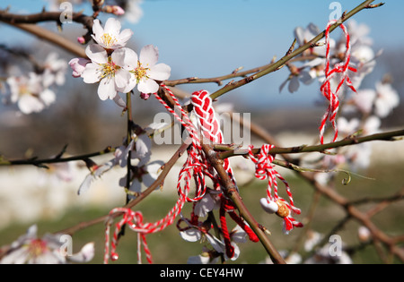 Martenitsa, tradizionali bulgare personalizzato nel Marzo Foto Stock